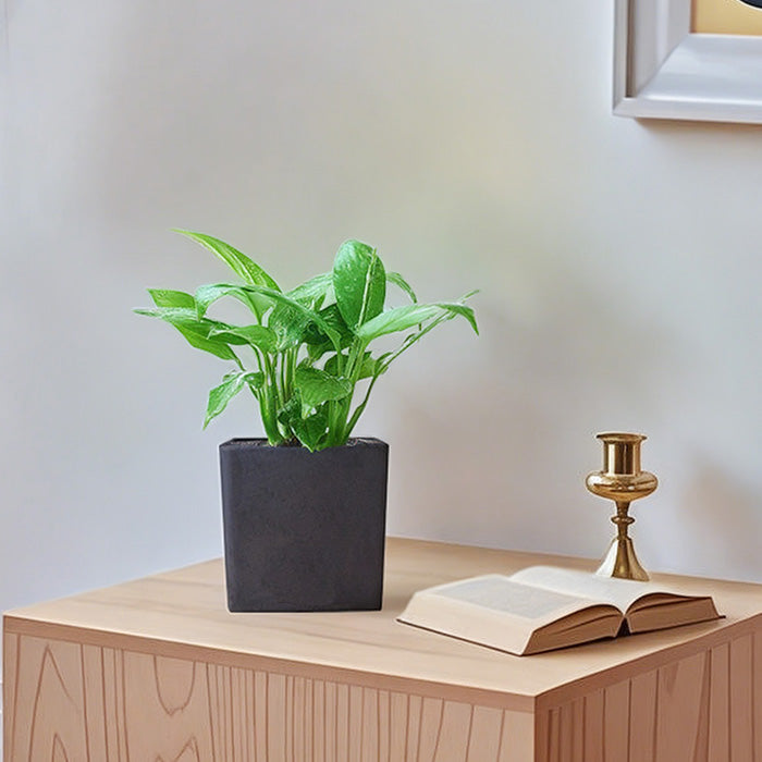 【Greenship 3年保証】小型プランターボックス 15×15cm 正方形 植木鉢 鉢植えカバー 軽量 排水穴あり ゴム栓付き 室内外兼用 おしゃれ ガーデニング モダンデザイン 全品送料無料(北海道・沖縄・離島除く)