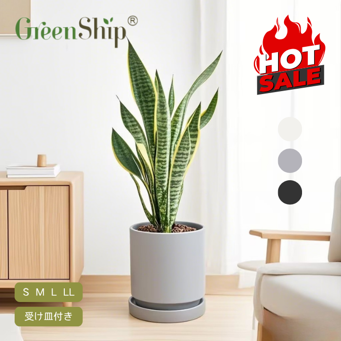 【Greenship 3年保証】おしゃれで軽量!プランター 大型 小型 屋内外対応 プラスチック植木鉢 受け皿付き 環境にやさしい 園芸用 10号 全品送料無料(北海道・沖縄・離島除く)