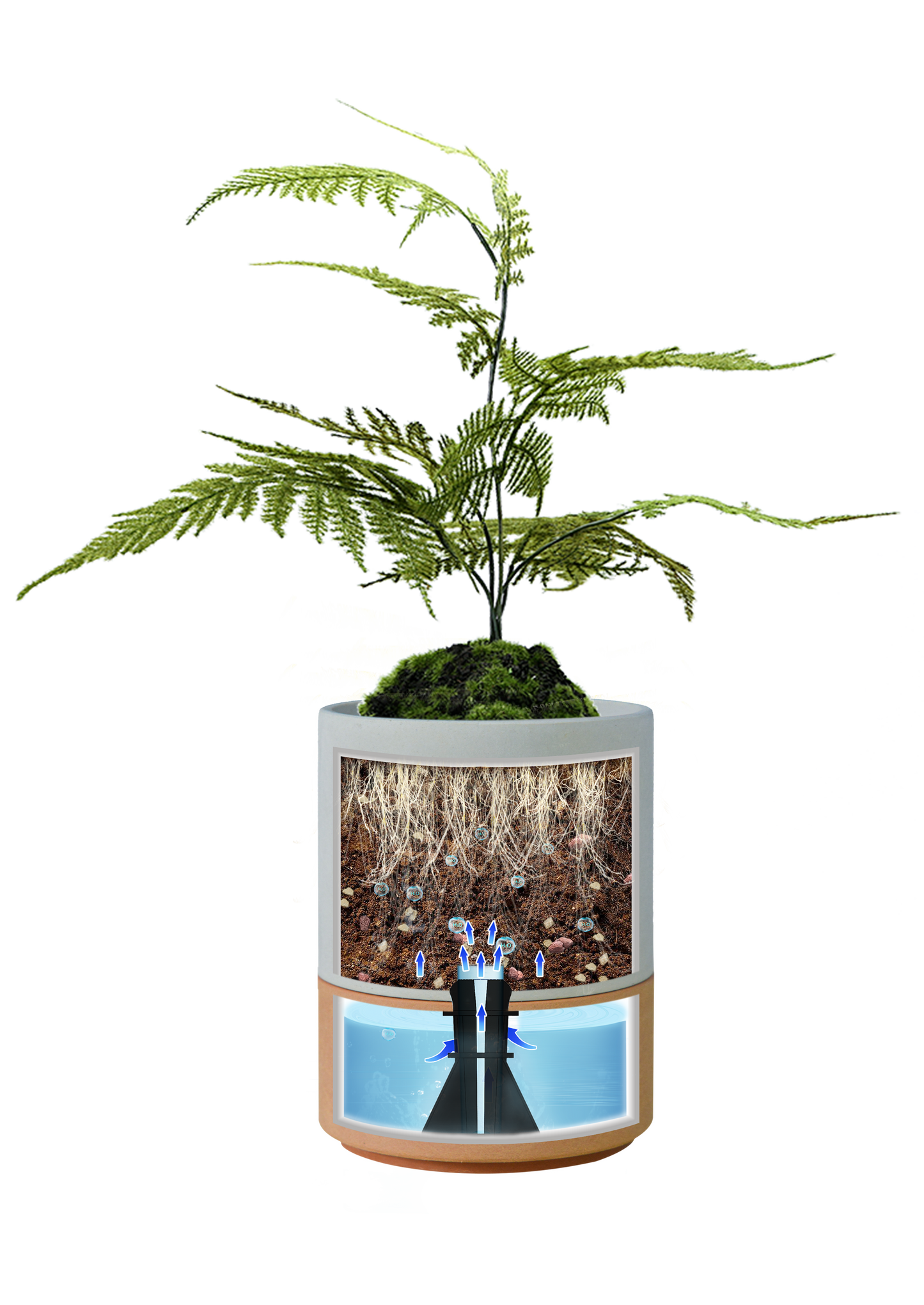 【Greenship 3年保証】環境に優しい 植木鉢 おしゃれ 軽量＆耐久性 鉢皿付き 卓上・多肉植物・ミニサイズ 多色セット 底面給水鉢 全品送料無料（北海道・沖縄・離島除く）