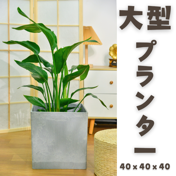【Greenship ３年保証】プランター 大型 スクエア 正方形 深型 ファイバークレイ 植木鉢 鉢カバー 屋外 屋内 軽量 排水穴 ゴム栓付き おしゃれ 40x40x40cm 観葉植物 ガーデニング 全品送料無料（北海道・沖縄・離島除く）13号