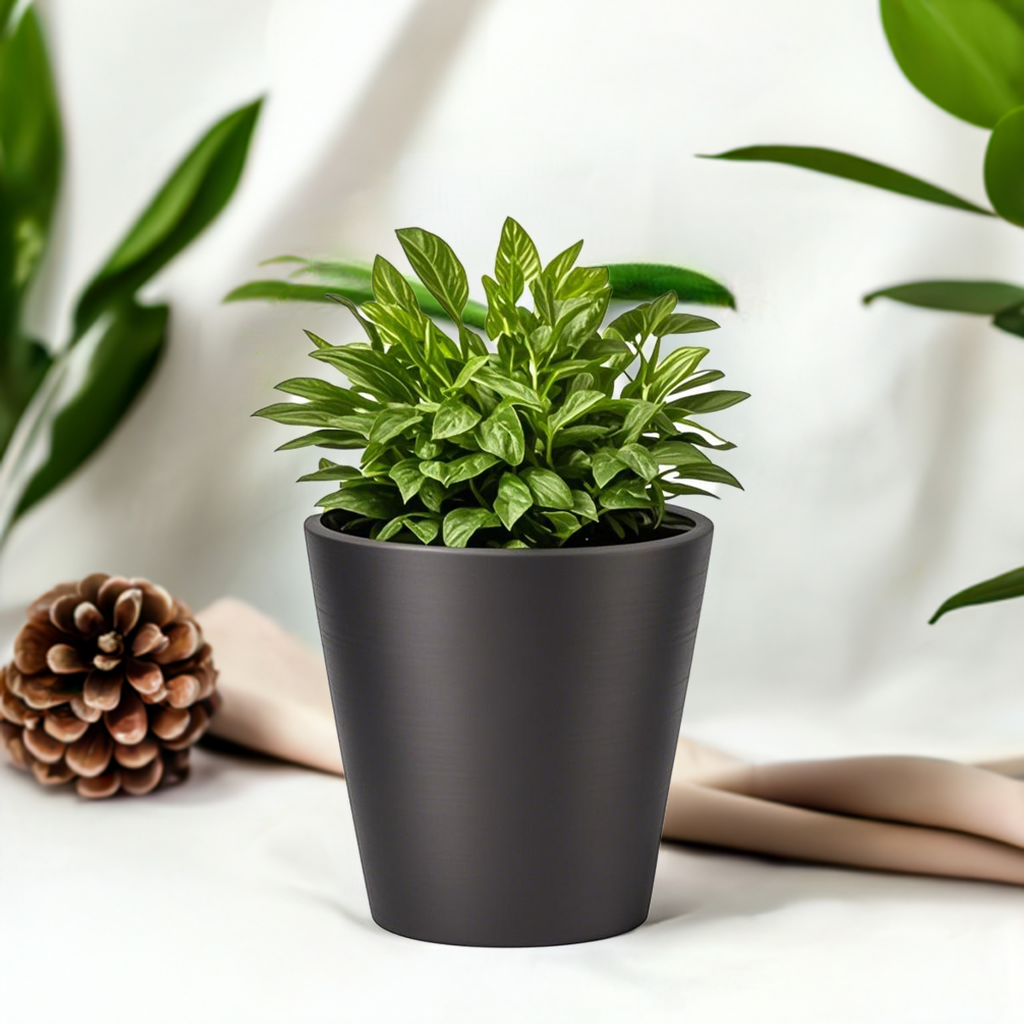 【Greenship ３年保証】植木鉢 ガーデニング おしゃれ 軽量 屋内 屋外 ツヤ 環境にやさしい プラスチック 観葉植物 多機能植木鉢 園芸用品 穴なし 4号 全品送料無料（北海道・沖縄・離島除く）